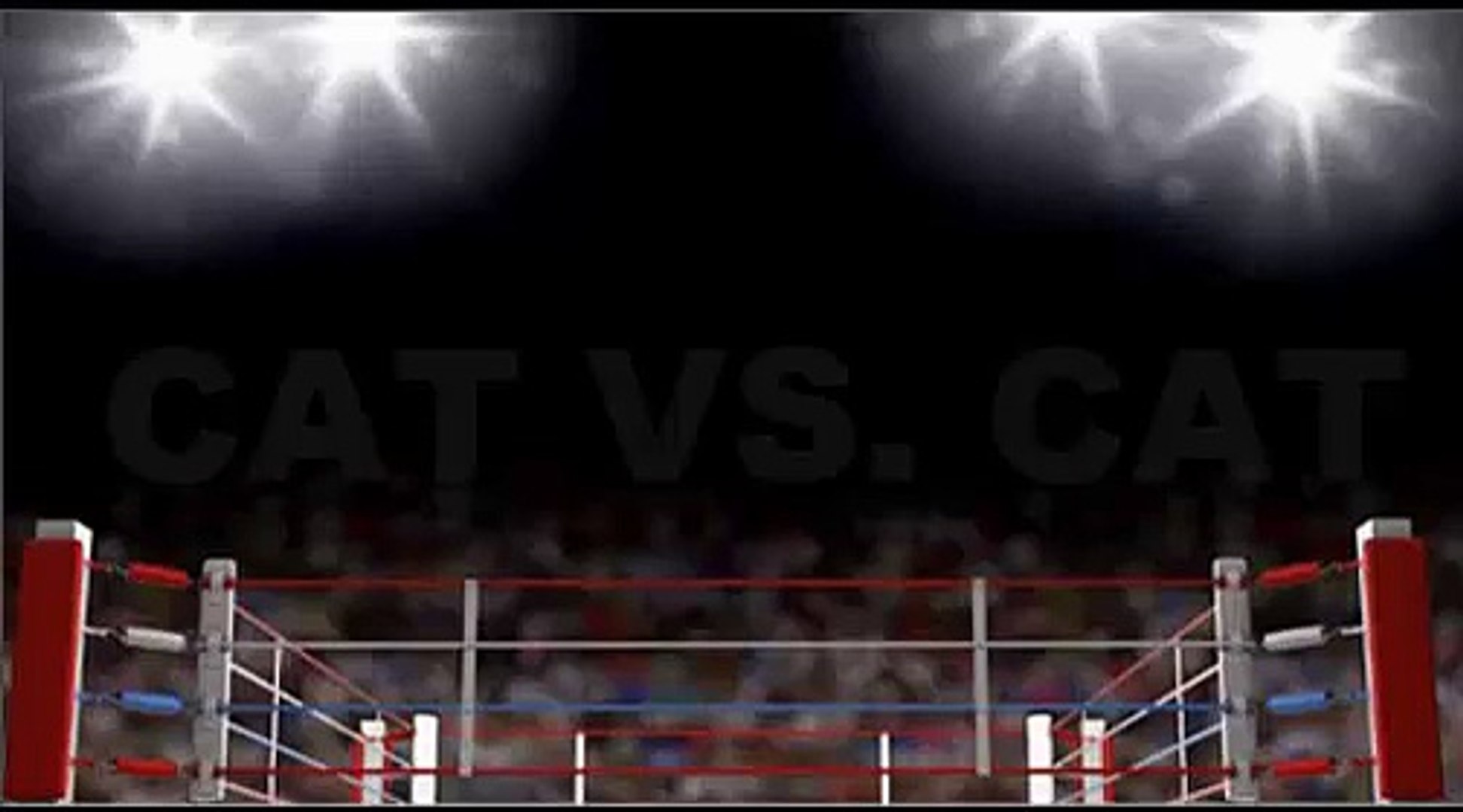 cats vs Cats