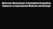 PDF Download Molecular Mechanisms of Spondyloarthropathies (Advances in Experimental Medicine