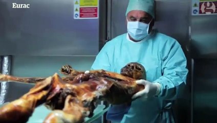 Iceman Ötzi's stomach bacteria 'rewrite the textbooks'