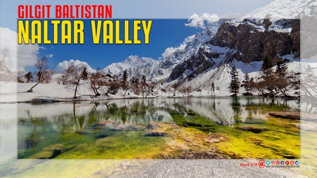 Naltar Valley Gilgit Baltistan