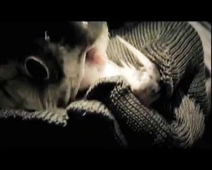 Discovery Channel presents River Monsters Live in Jakarta 2014