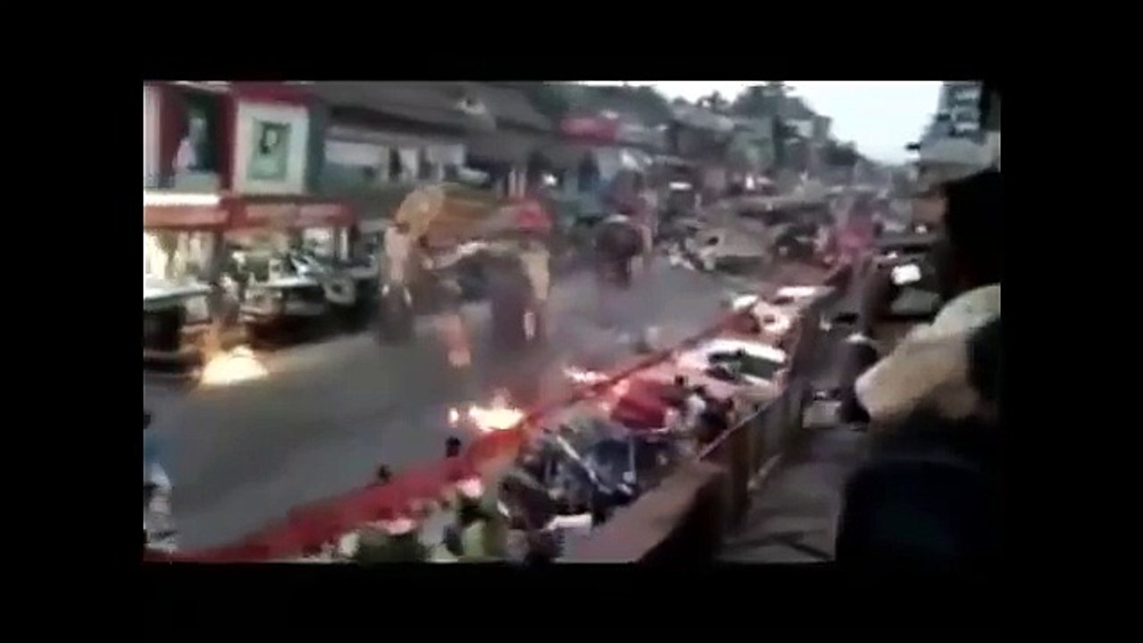 Dangerous Animals Attack Human - Опасные животные Атака Человека - Video HD