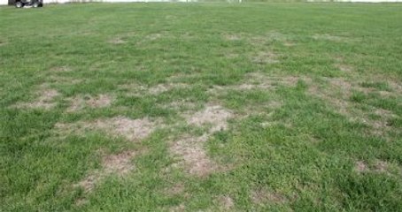 Fenerbahçe, Akhisar Maçını Başka Statta Oynamak İstiyor