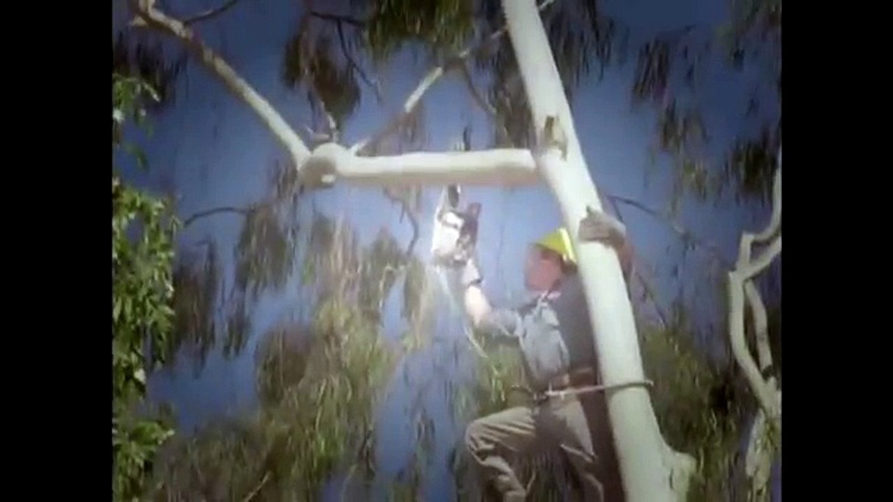 Scrubs Temporada 4 Capítulo 7 Español Dailymotion Video