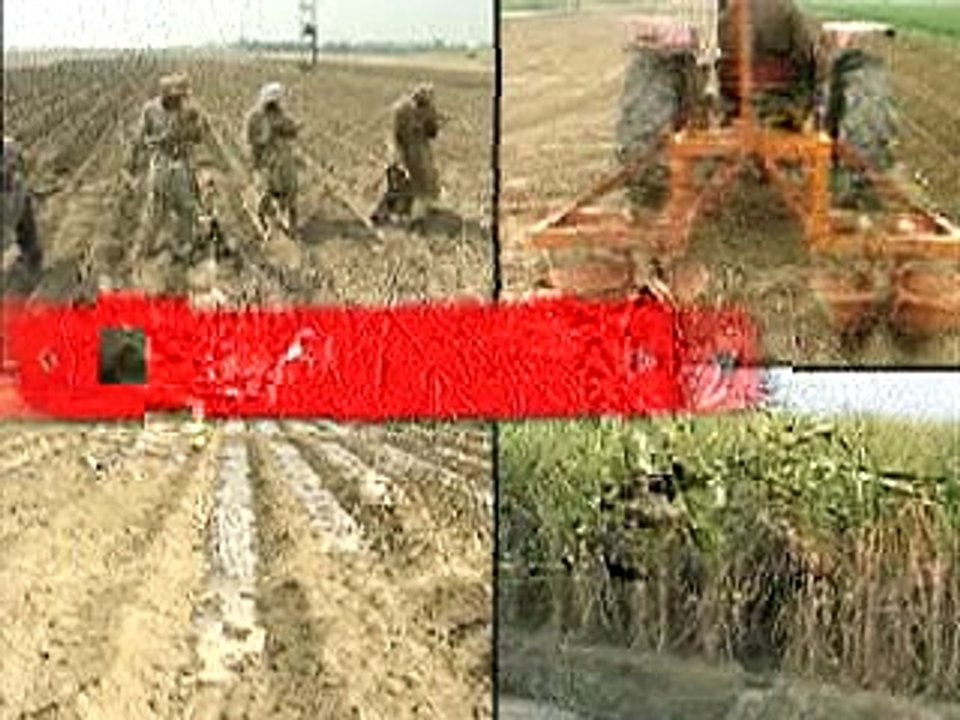 Sugarcane Gehri kheliyon men kasht 01-03-2016
