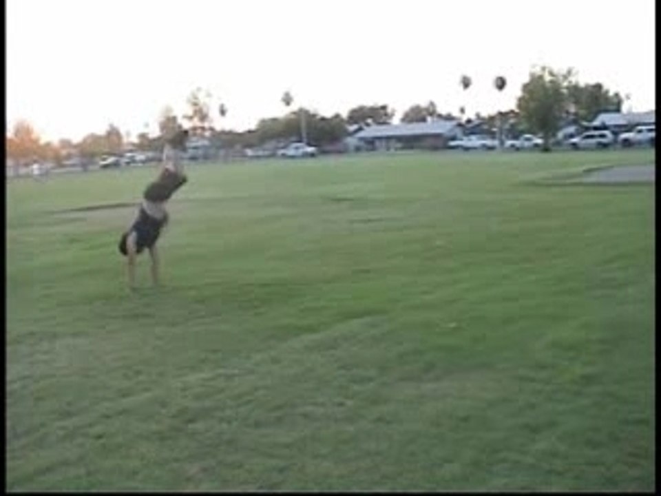Flippin Out Vol 1