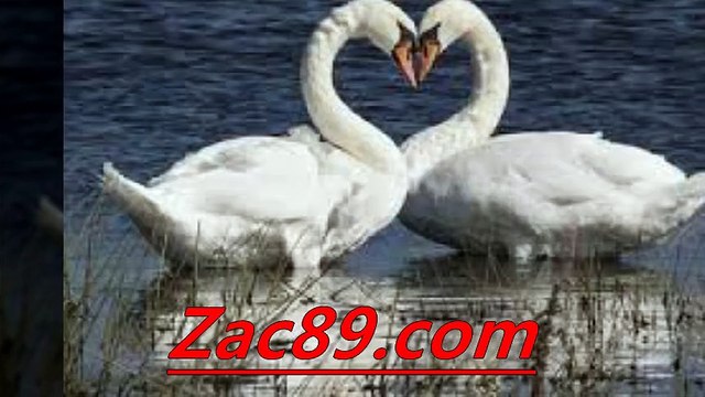 축구토토추천 ↑‰↑ ＣＶＣ７９．CＯＭ ↑‰↑ 해외토토 배팅놀이터