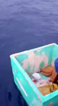 Des marins sauvent un homme dont le bateau vient de couler au milieu de nulle part