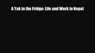 PDF A Yak in the Fridge: Life and Work in Nepal Read Online