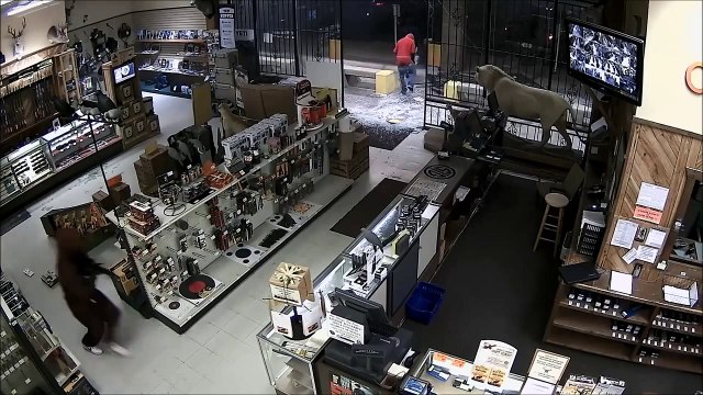 Braquage impressionnant dans une armurerie au Texas, 10 braqueurs emportent des dizaines d'armes à feu