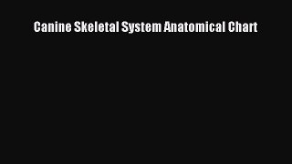 Read Canine Skeletal System Anatomical Chart Ebook Free
