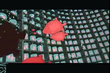 The Heart Collector - A man with no heart is the most dangerous (VFS)