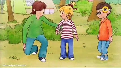 mm DESENE ANIMATE IN ROMANA