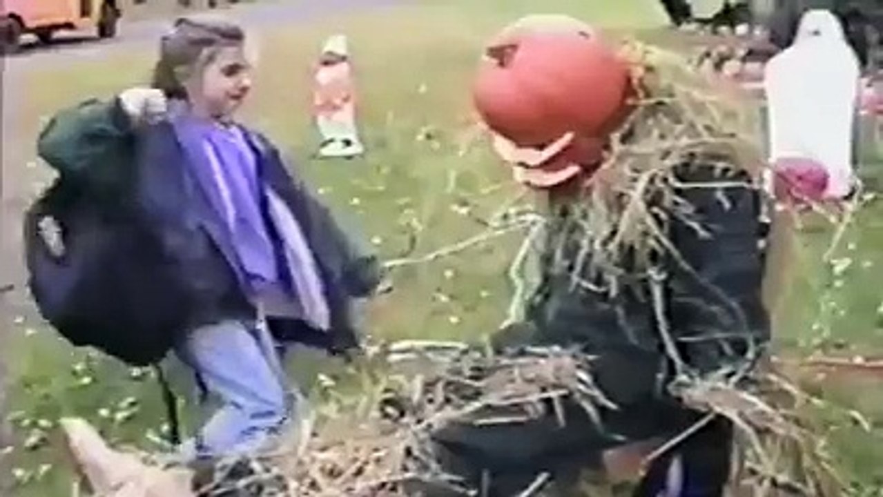 funny videos23