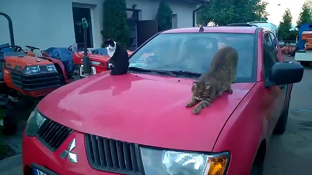 Traktorek ogrodniczy Kubota 5001 na L-200. traktorki-japonskie.waw.pl