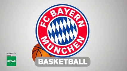 ULTIMATE FAN EXPERIENCE