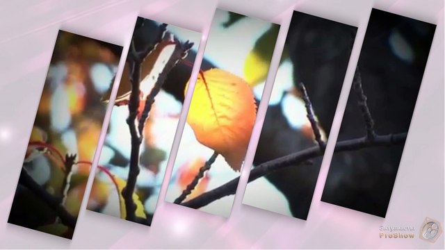 8 Марта. Поздравления с 8 марта.