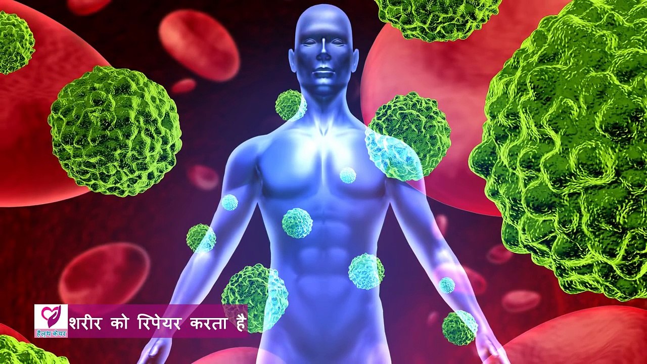Top 5 Health benefits of Kiwi Fruit In Hindi|जानिए किवी फल के फायदे।