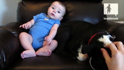 Cute Baby Pushes Out A Doody _ Funny Accidents _ toddletale