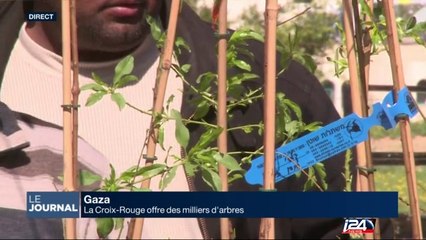 La Croix-Rouge offre des milliers d'arbres à Gaza
