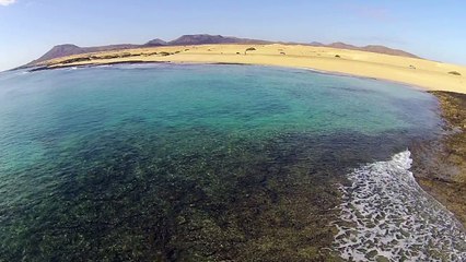 Surfcamp canaries - école de surf  - Gliss'experience  - Anglet