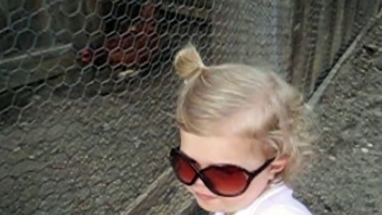 Girl Thinks Live Chicken Is A Chicken Nugget
