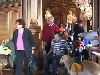 Handichiens  - éducation de chiens dassistance pour personnes handicapées