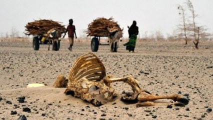 İngiliz Uzmanlardan Korkutan Tahmin: 2050'ye Kadar Yarım Milyon İnsan Ölecek