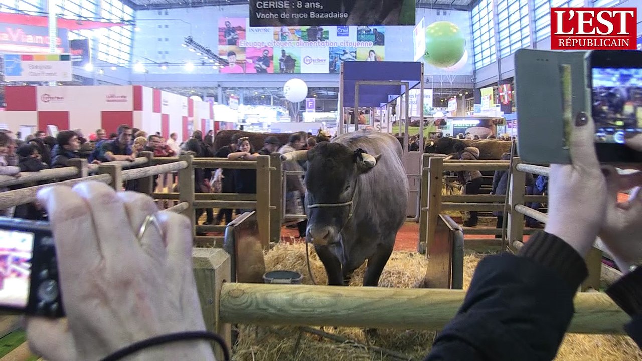 Salon de l'agriculture : ambiance dans la plus grande ferme de France