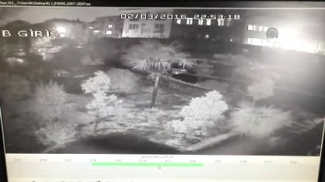 Asırlık Çam Ağacının Devrilme Anı Kameralara Yansıdı