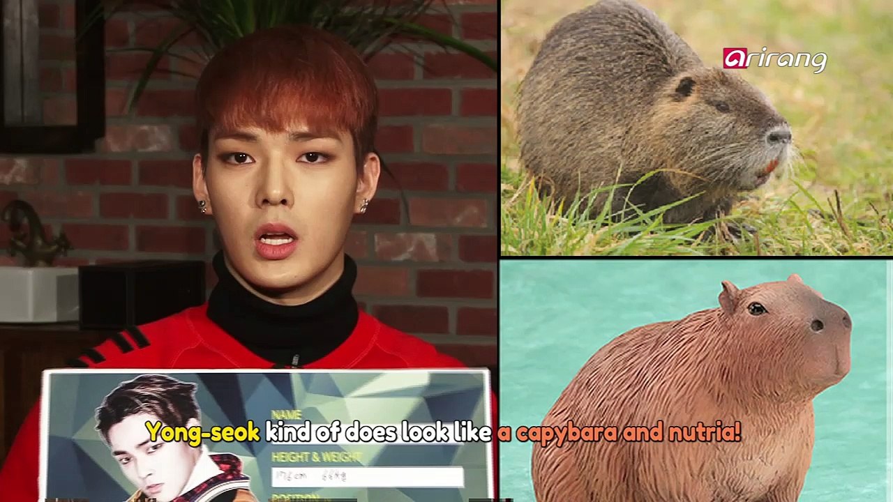 Cross Gene Interview