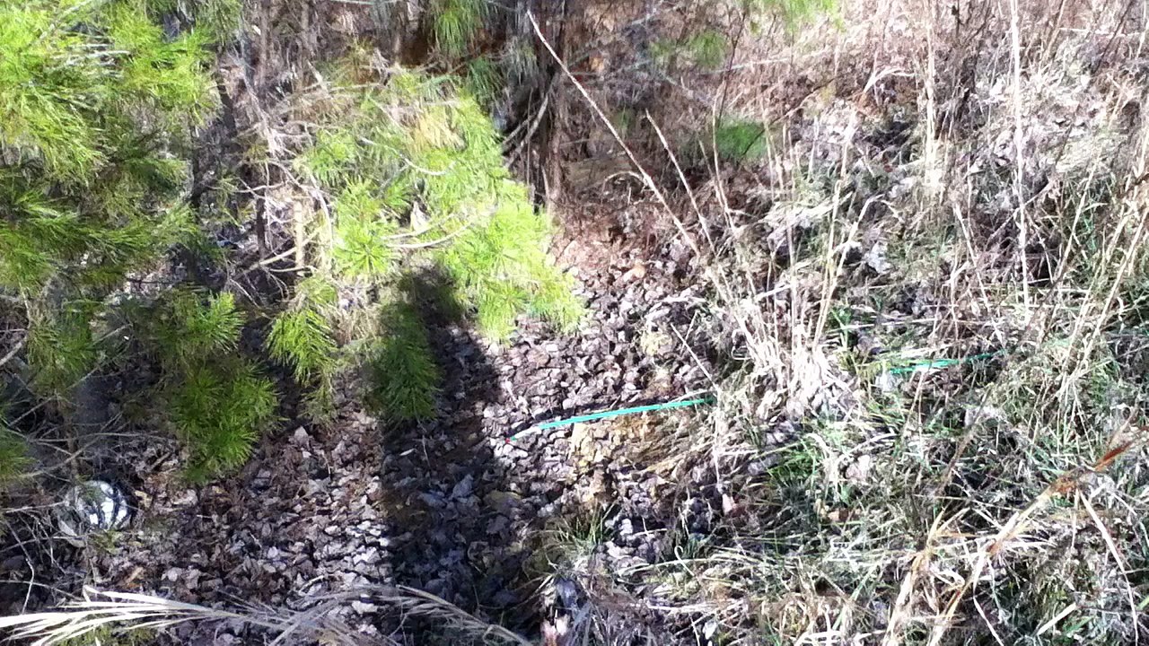 Z57 presents more hiking in the woods