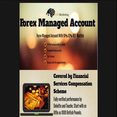 Forex Megadroid Review - Best Automated Forex Robot
