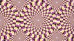 Optical Illusions That Will Melt Your Brain!