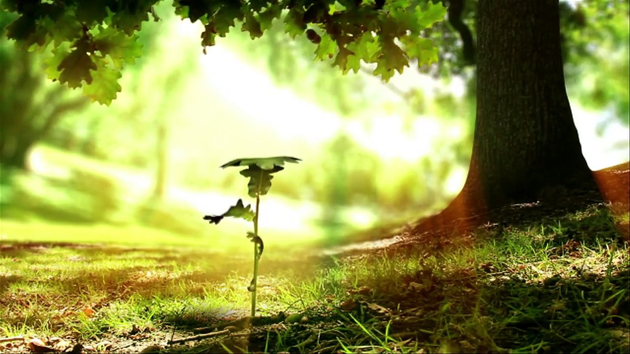 An Introduction to Grace Century, FZ LLC