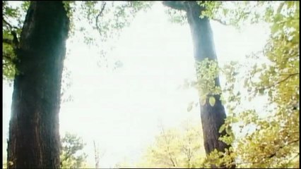 LOTR - New Zealand as MiddleEarth 5