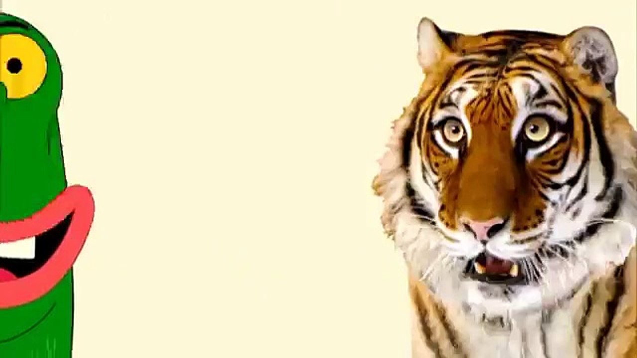 حلقات جديدة - العم جدو - كرتون نتورك