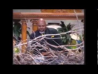 TD JAKES - DONT DIE IN THE NEST - SERMONS, TEACHINGS