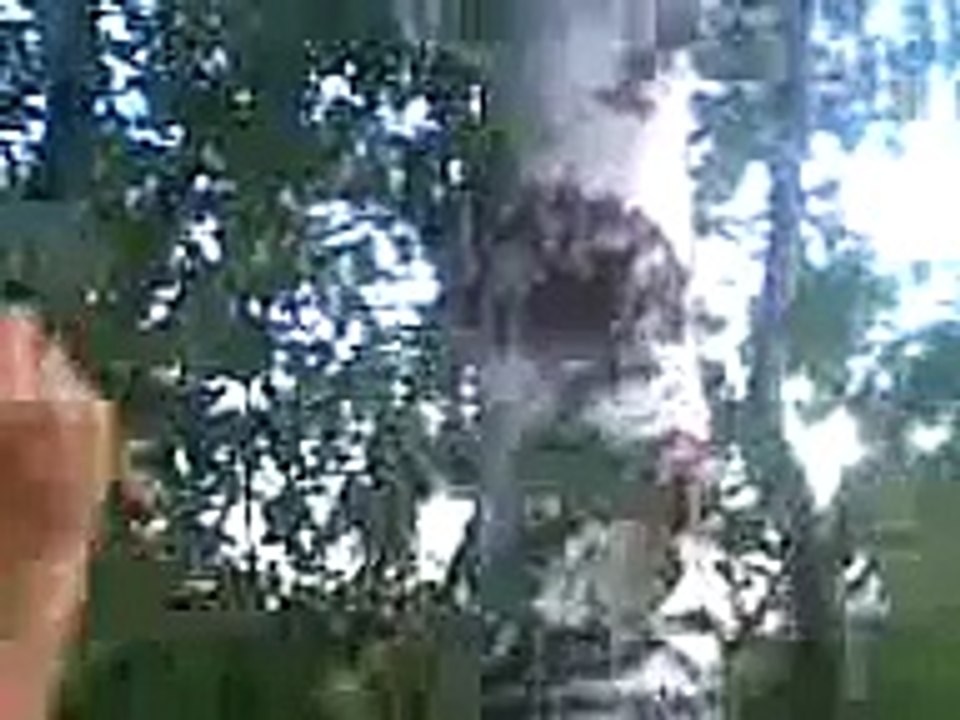 vicces videok.