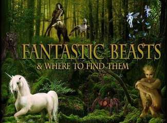 Fantastic Beasts and Where to Find Them Full Movie Streaming