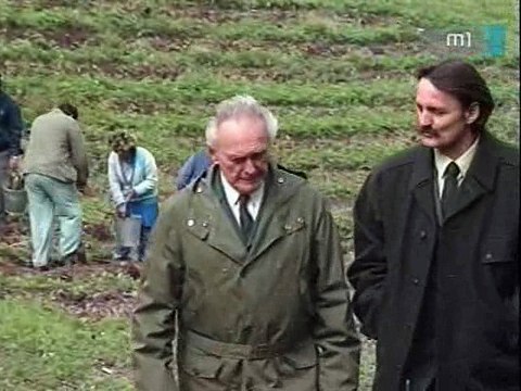 Szomszédok 078. Rész 1990 Április 19