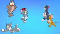 Tom and Jerry Finger Family Song Nursery Rhymes | TOM FINGER FAMILY RHYMES