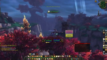 MoP beta addons | Pally hit 90 on beta ( day 13 )