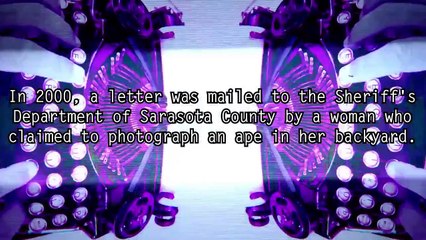 Top Mysterious Creatures In America, Incredibile!!!