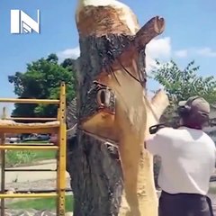 Спильщик деревьев - 80й уровень