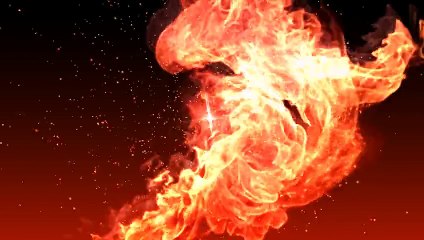 Tyre Fail, maybe they are Donald Trump Supporters lol #dumbAndDumber