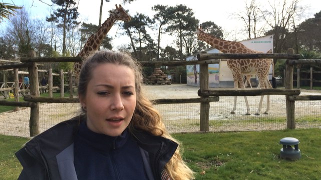 Tournage d' Une saison au zoo 5 pour France 4