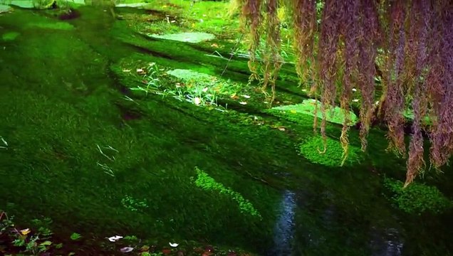 Chrissy Teigen, Samantha Hoopes, Lily Aldridge Getting Naked On The West Coast