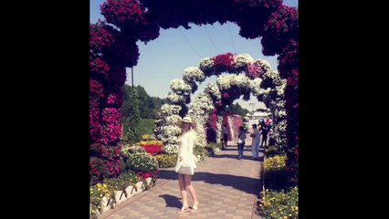 1001 Nacht in 4 Minuten #mydubai