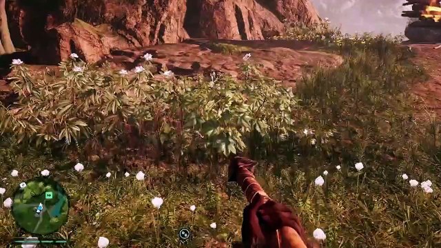 Lets Play Far Cry Primal - Part 3